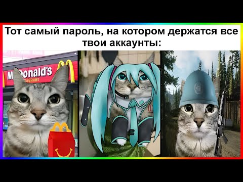 Видео: тик ток пароль | подборка мемов