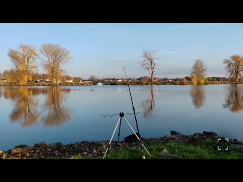 Видео: Заготавливаем дрова🤣,на футболе⚽, на рыбалке 👍, улов🐟болталка 🤗