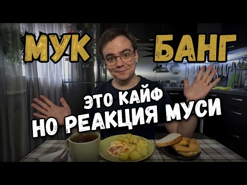 Видео: Мукбанг. Муся была просто в шоке от нового друга. Реакция кошки на робот пылесос