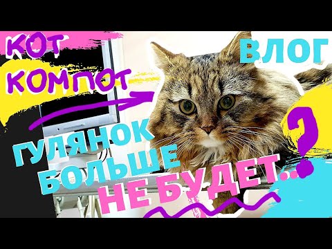 Видео: СТАРАЯ ДАЧА |  КОТ КОМПОТ ГУЛЯНОК БОЛЬШЕ НЕ БУДЕТ №118