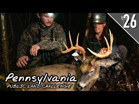 Видео: САМЫЙ БЛИЗКИЙ ВЫСТРЕЛ НА ОЛЕНЯ?! - ДВА БОЯ В ПЕНСИЛЬВАНИИ!