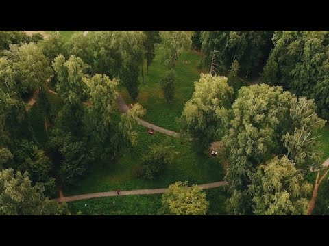 Видео: Презентация предварительной концепции благоустройства парка "Березовая роща" (Козий парк)