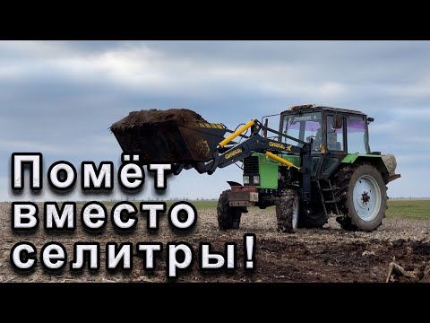 Видео: Органическое удобрение вместо селитры! Куриный помет!