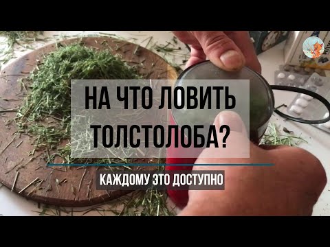 Видео: Элементарно просто. #Технопланктон из травы. #Поймать #толстолобика может каждый