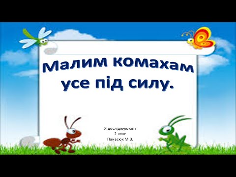 Видео: Комахи.  Малим комахам усе під силу.