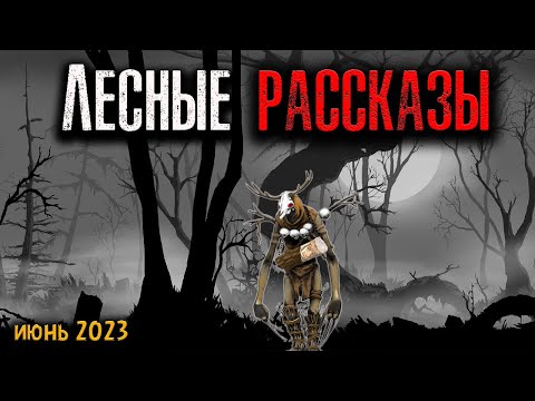 Видео: ЛЕСНЫЕ РАССКАЗЫ | Страшные истории