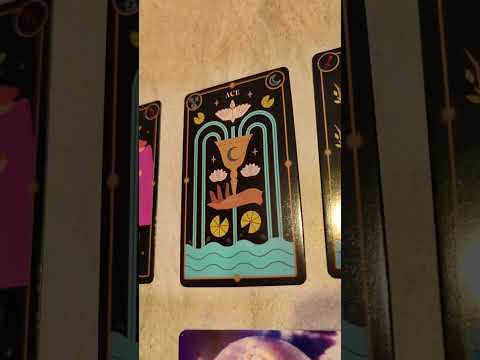 Видео: Некоторые люди плохо с вами обращаются или принимают вас как должное, думая, что это не будет име...