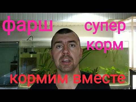 Видео: Кормим рыбок ФАРШЕМ(кушают даже мальки)  почти во всех аквариумах на разводне