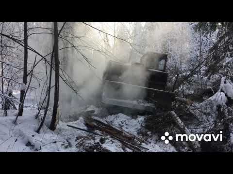 Видео: тдт-55 работа в делянке