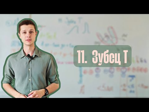 Видео: Алгоритм анализа ЭКГ | 11. Зубец Т