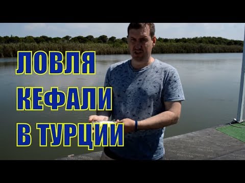 Видео: Ловля кефали и рыбы чупра на реке в Турции в Белеке.