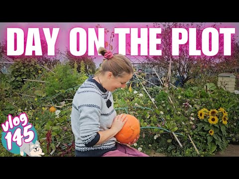 Видео: Эпизод 145: Застреваем! | Октябрь на участке