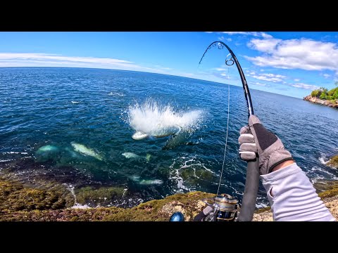 Видео: Я не мог поверить, сколько здесь рыбы! Секретное место