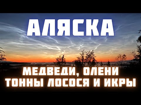 Видео: Дальнобойщики на Аляске. Почему американцы выкидывают икру? Сколько стоит отпуск?