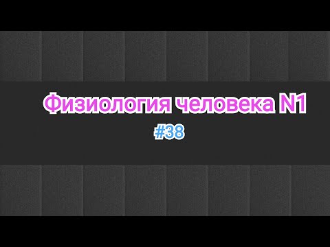 Видео: Физиология. Микроцируляторное русло. #38