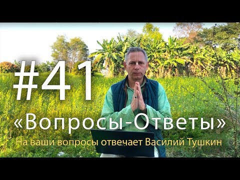 Видео: "Вопросы-Ответы", Выпуск #41 - Василий Тушкин отвечает на ваши вопросы
