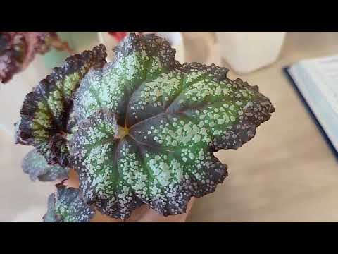 Видео: История одного заказа! 🤗 прошло три месяца... Посмотрим🧐