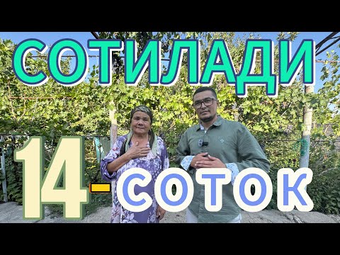 Видео: АРЗОН 14-СОТОКЛИ ГУЗАЛ УЙ-ЖОЙ БОГЛАРИ БИЛАН ДАРЕ ЕНИДА СОТИЛАДИ.