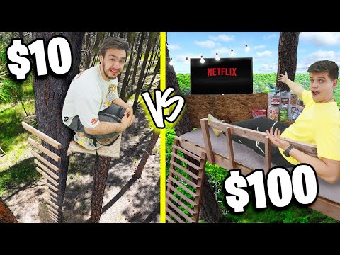 Видео: ДОМИК НА ДЕРЕВЕ ЗА 10$ VS 100$ ЧЕЛЛЕНДЖ!