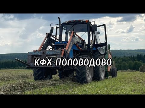 Видео: СПАСАЕМ СЕНО! ДЕЛАЕМ СЕНАЖ!