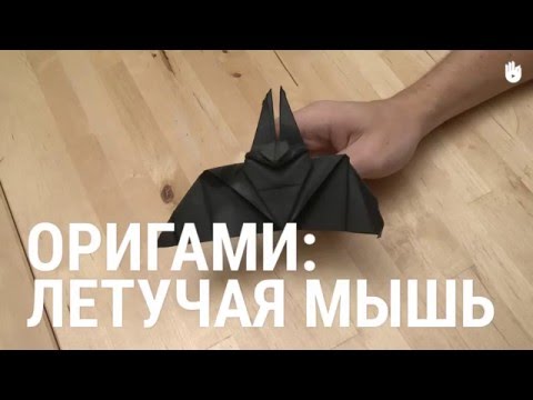 Видео: Оригами: летучая мышь