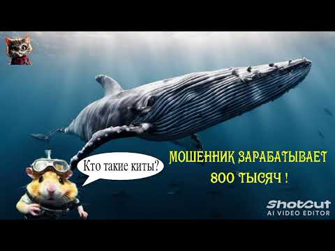 Видео: Мошенник зарабатывает 800 тысяч.