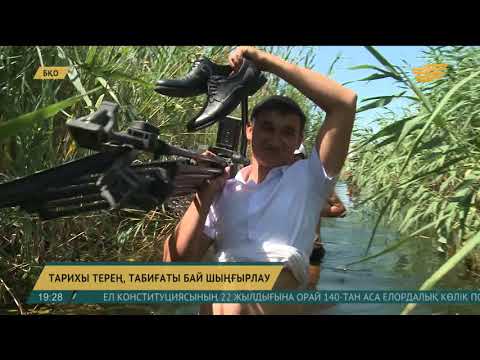 Видео: Шыңғырлау ауданында киелі орындардың картасы жасалды