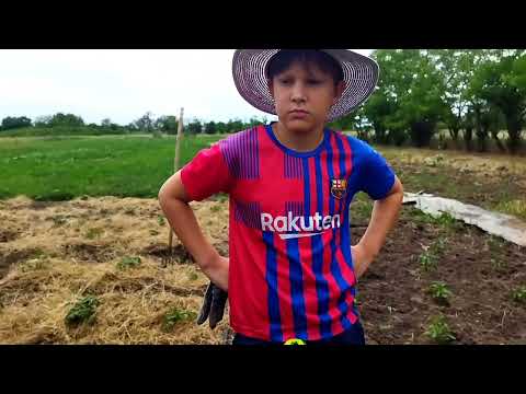 Видео: Просто жизнь на Хуторе. Переезд в Ставропольский край.