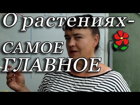 Видео: Главное, что нужно понимать и знать о растениях!