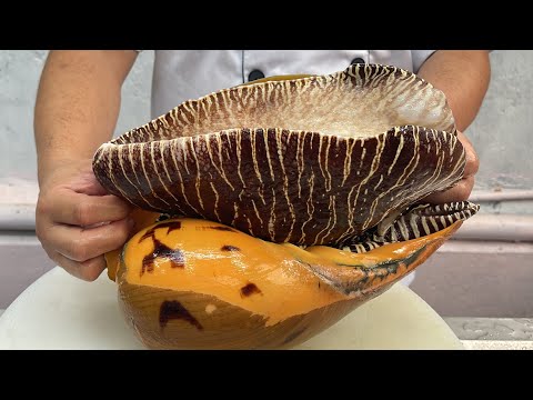 Видео: Морские улитки 5кг - 5 блюд // Vn Chef