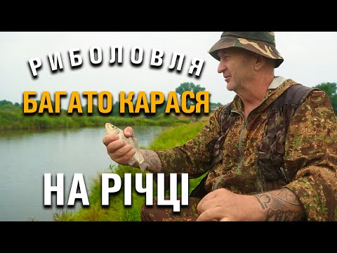 Видео: Риболовля на карася і не тільки на дикій річці. Гарна компанія. Відпочинок на природі.