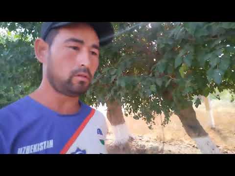 Видео: Бугин биз Йангоботдамиз 03.07.2025 йил 