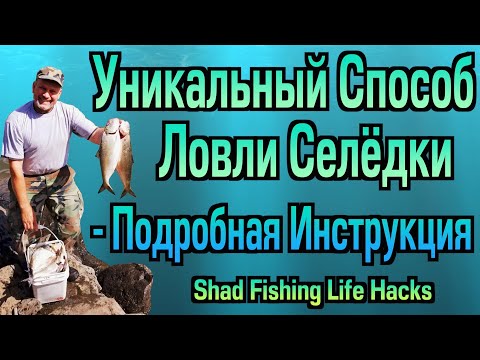 Видео: Shad Fishing Life Hacks / Большой улов селёдки за 2 часа... Уникальный Способ - Подробная Инструкция