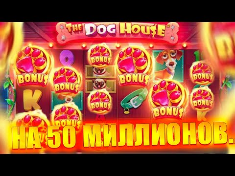Видео: 🐶 БОНУСОВ НА 50M В DOG HOUSE MEGAWAYS! ВЫБИЛ 5 СКАТТЕРОВ?