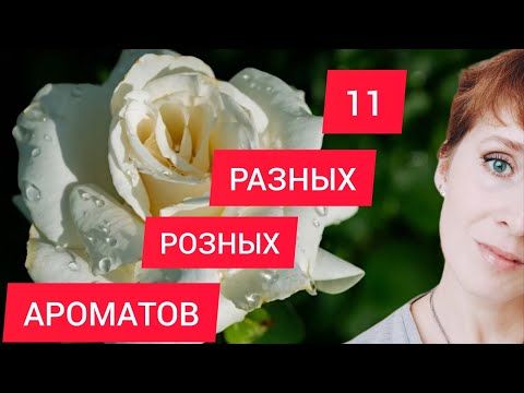 Видео: АРОМАТЫ С НОТОЙ РОЗЫ 🌹