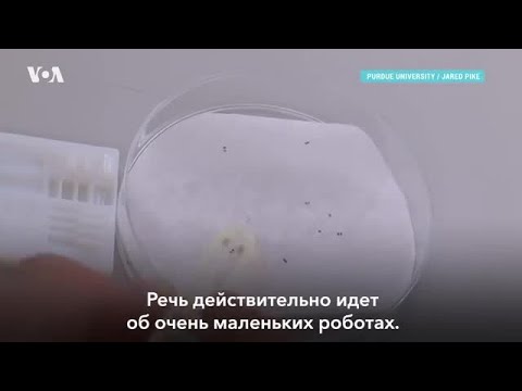 Видео: Медицинские микророботы