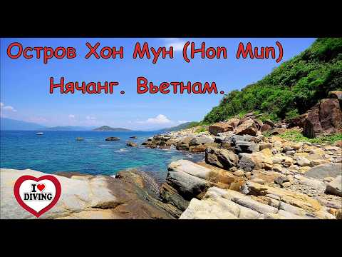 Видео: Дайвинг во Вьетнами. Нячанг. Остров Хон Мун. Дайв-сайт - Madonna Rock. Лучшие места для погружений.