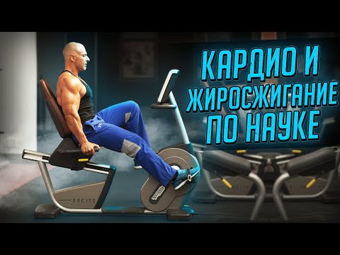 Видео: КАРДИО И ЖИРОСЖИГАНИЕ ПО НАУКЕ