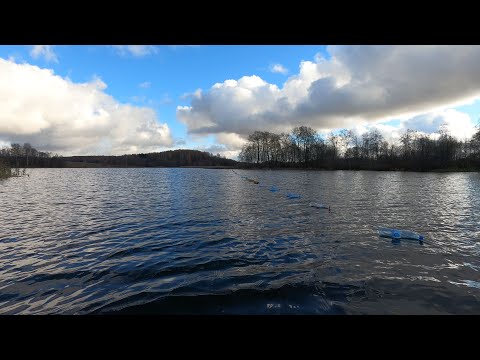 Видео: Рыбалка На Перемет