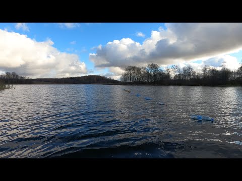 Видео: Рыбалка На Перемет