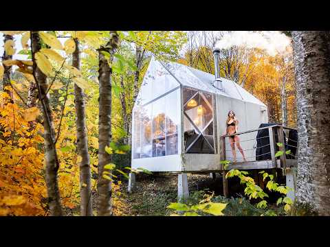 Видео: Мечтательный отдых в домике на пике листопада 🍁