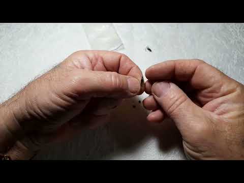 Видео: ЭТА ГИРЛЯНДА НЕ ПАРОВОЗ, А ПРАВИЛЬНО ИЗГОТОВЛЕННАЯ СНАСТЬ ДЛЯ ГЛУБИННОЙ ЛОВЛИ ВСЕЙ РЫБЫ!!!