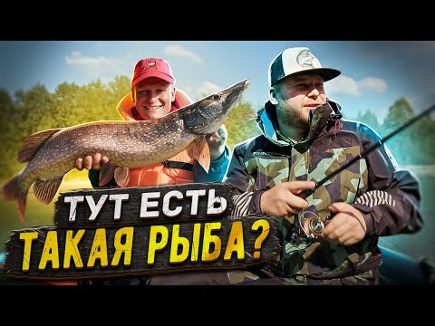 Видео: ТУТ ЕСТЬ ТАКАЯ РЫБА?