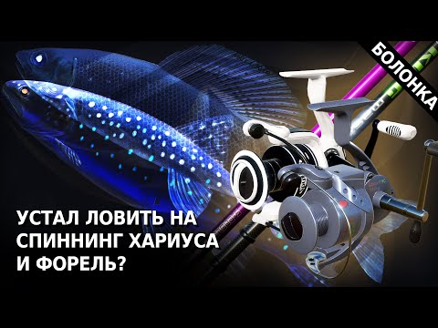 Видео: Дешевая сборка | Болонское удилище для Хариуса и Форели на р. Белая | Русская Рыбалка 4