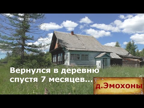Видео: Сюда хотели приехать много людей! Деревня Эмохоны. Возвращение в заброшенную деревню. Уютная деревня