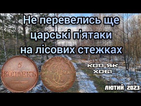 Видео: Не перевелись ще царські п'ятаки на лісових стежках