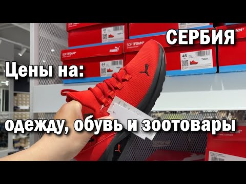 Видео: НОВИ САД Сербия цены на одежду, обувь и зоотовары