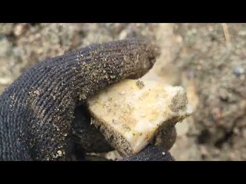 Видео: Исследуем Сибирский разлом в поисках драгоценных камней