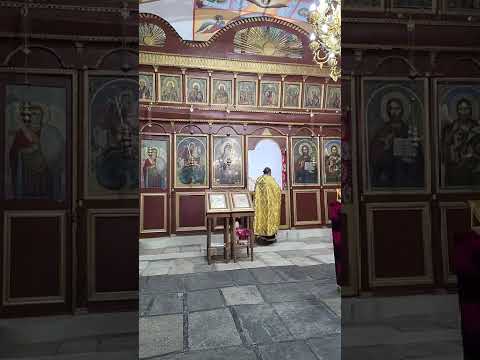 Видео: Димитров ден 2025 г