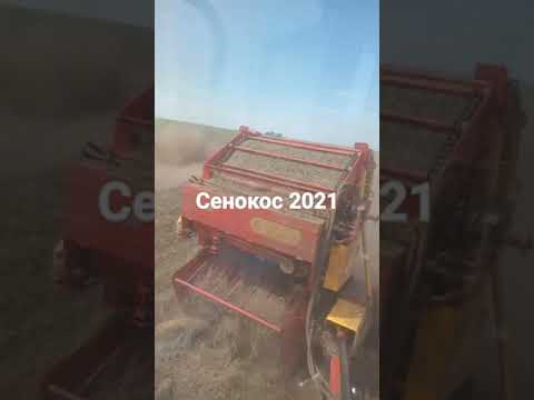 Видео: сенокос 2021 мтз пресуем сено